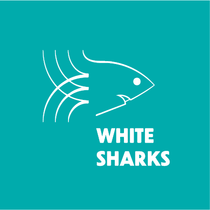 White Sharks